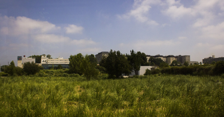 Vai Nascer Um Espa O Verde No Porto Percursos Pedonais E Cicl Veis