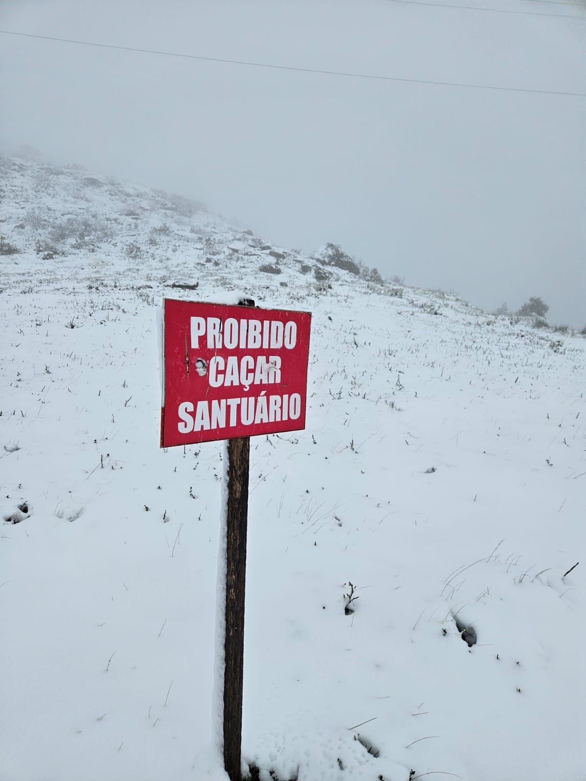 Queda de neve fecha estradas no maciço central da Serra da Estrela NiT