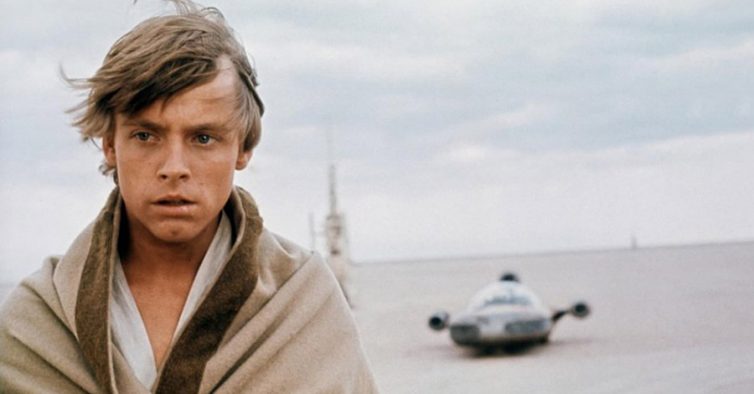 Luke Skywalker é gay? O ator Mark Hamill diz que pode ser