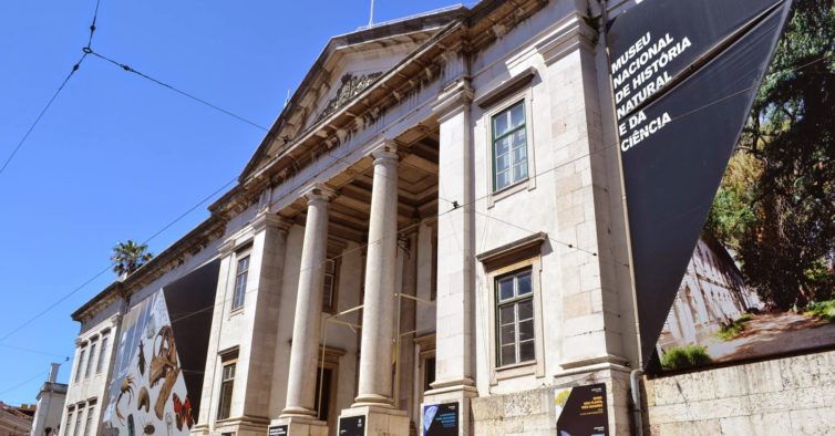 O Museu Nacional de História Natural quer voluntários para um espetáculo interativo