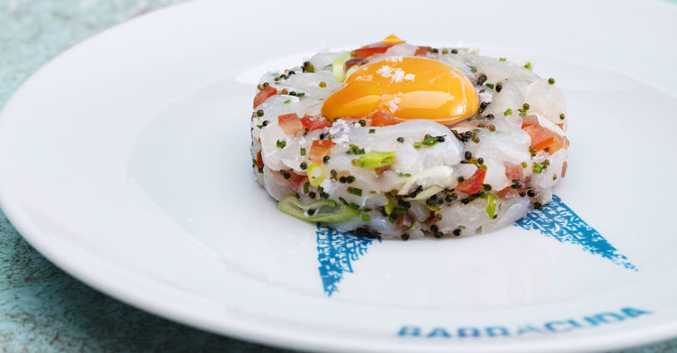 Barracuda