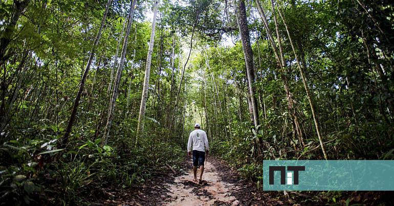 Limite do uso sustentável dos recursos naturais de 2019 