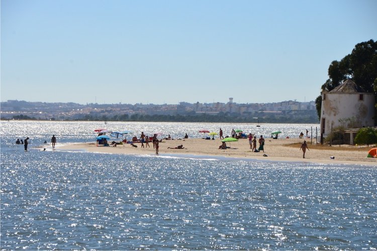 Barreiro