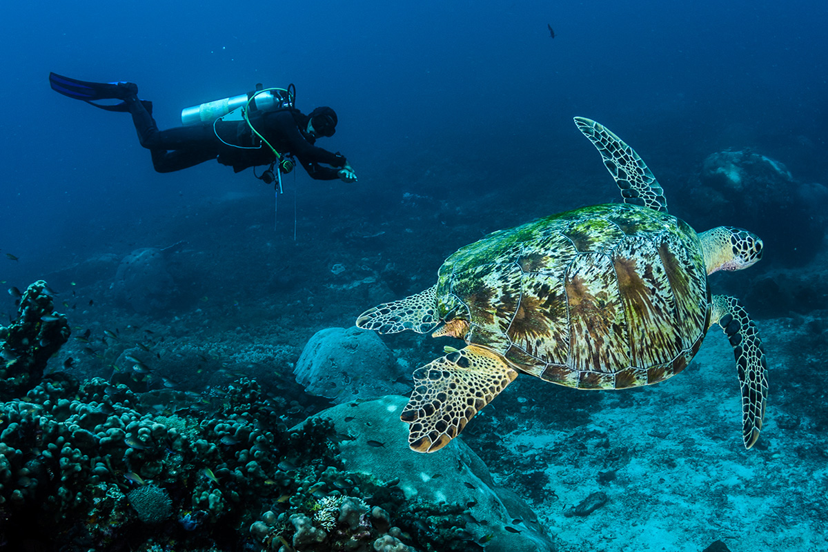 Raja Ampat
