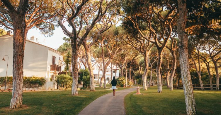 pine cliffs