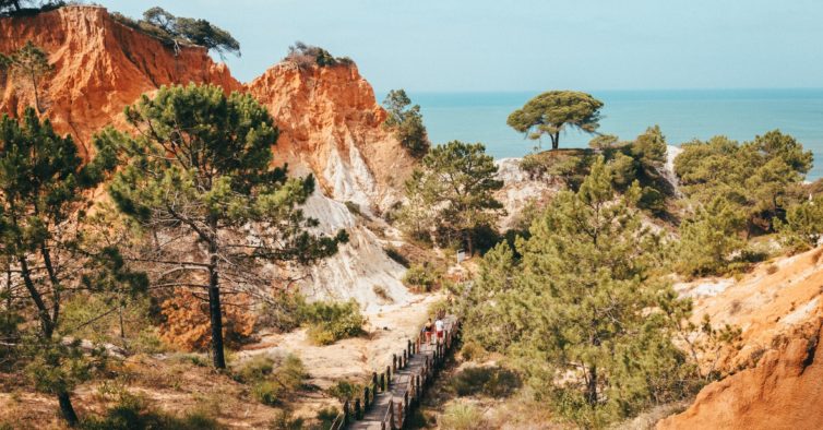 pine cliffs