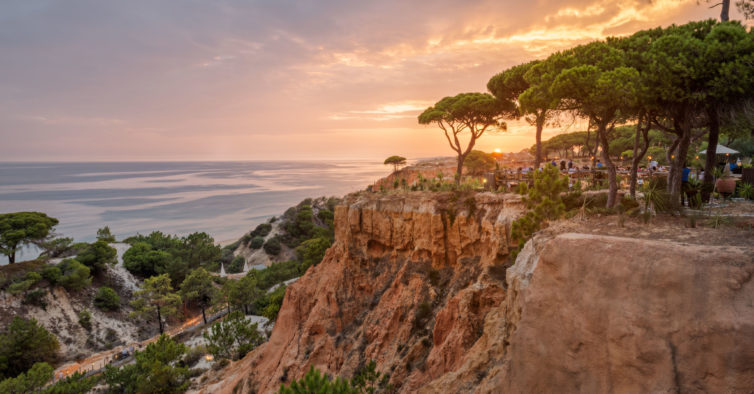 pine cliffs