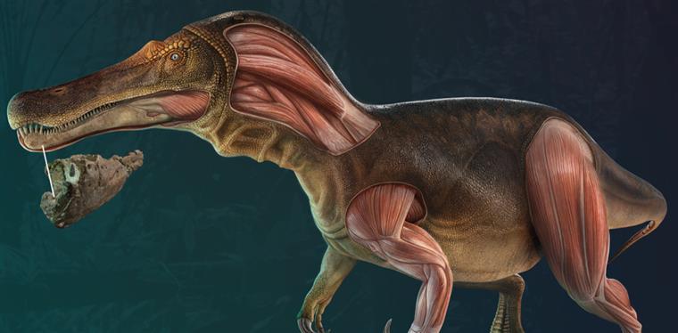 Novo dinossauro descoberto tem armadura de espinhos nunca antes vista -  TecMundo