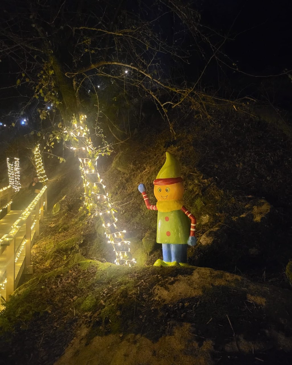 Magia das luzes de Natal regressa à floresta encantada às portas da  Peneda-Gerês – NiT