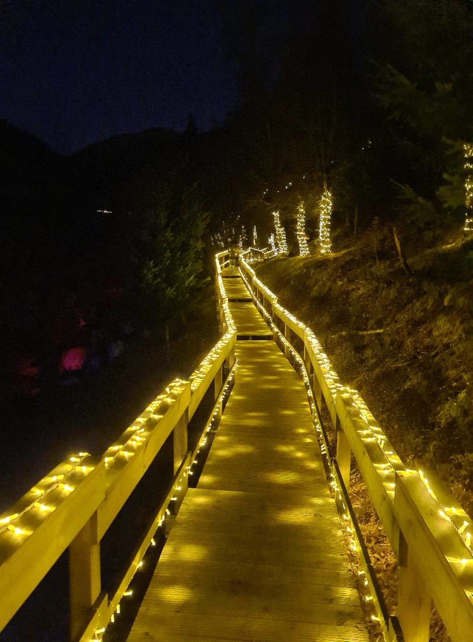 Magia das luzes de Natal regressa à floresta encantada às portas da  Peneda-Gerês – NiT