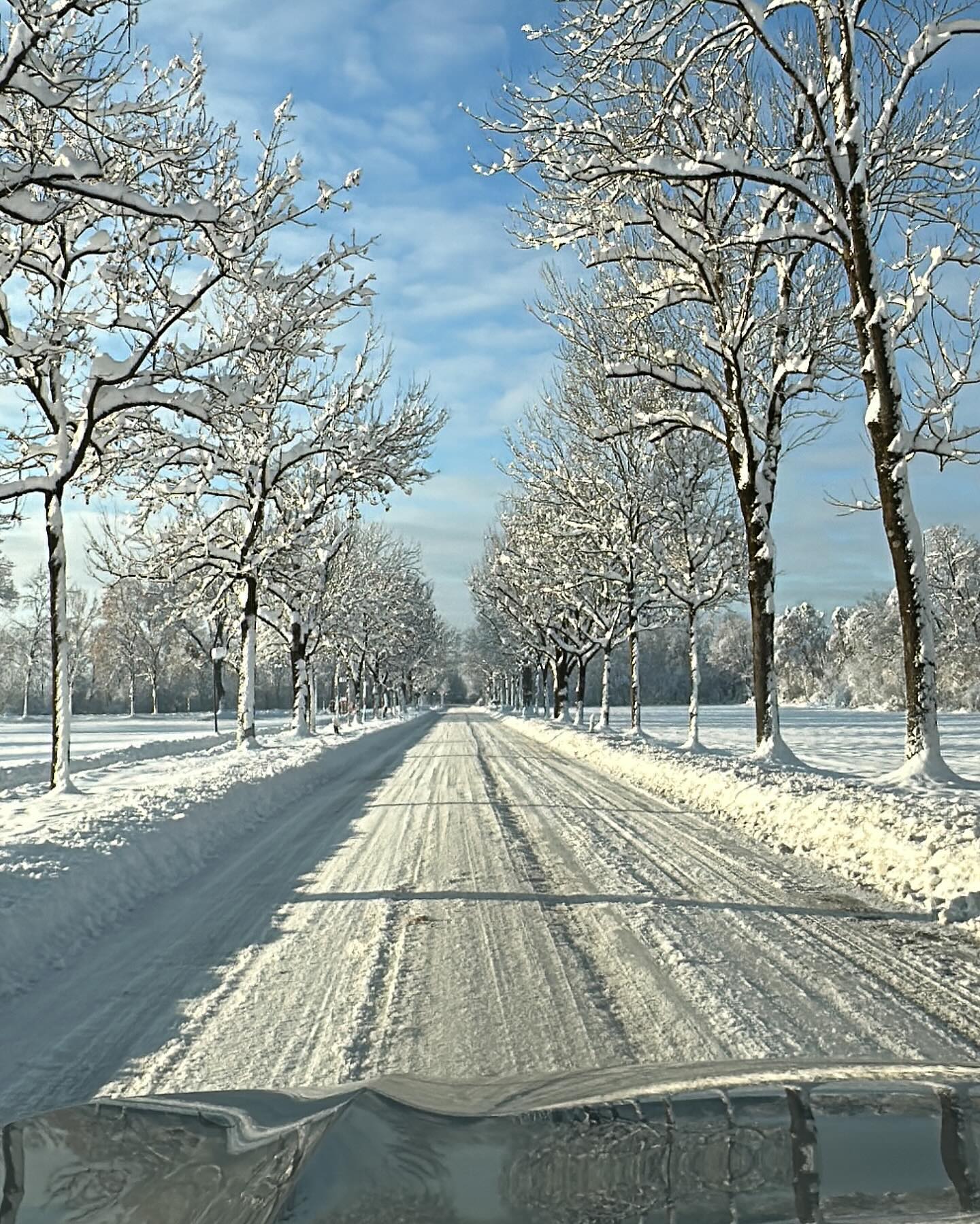 Vaga de frio na Europa: cidades cobertas de neve - SIC Notícias