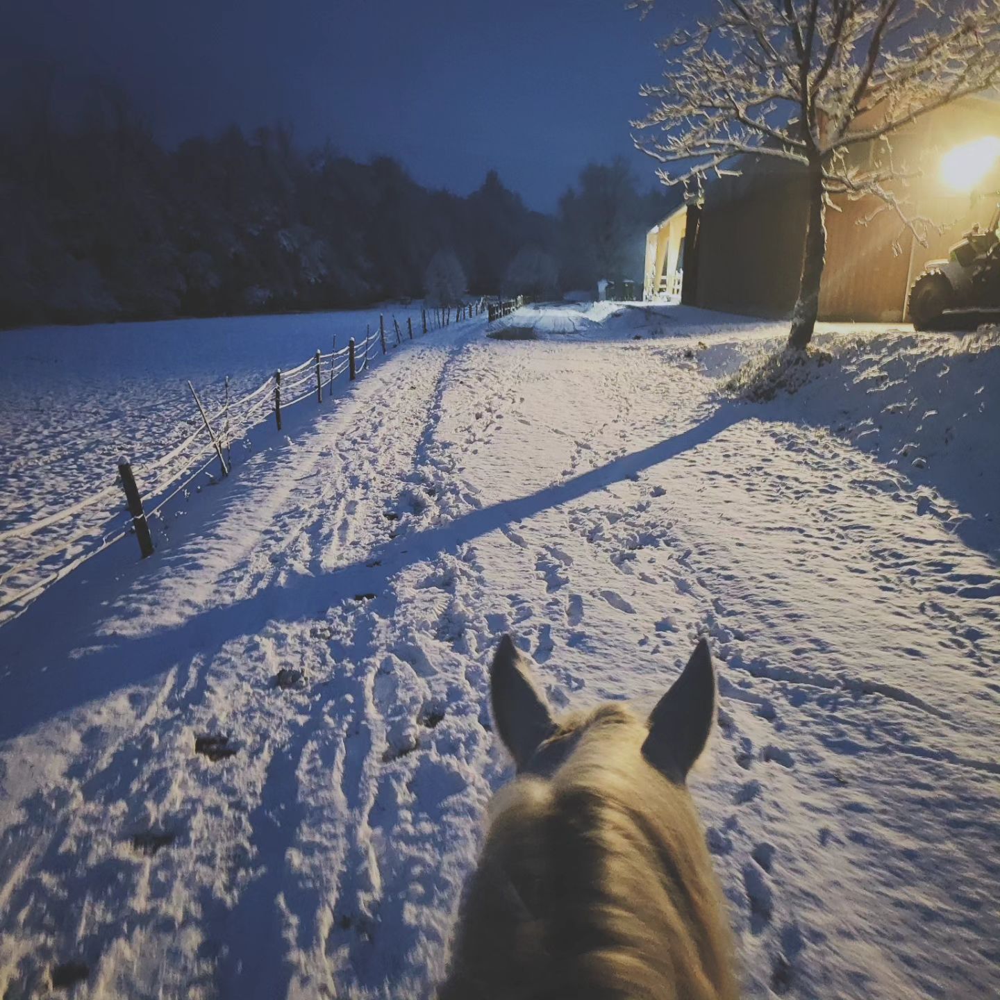 Vaga de frio na Europa: cidades cobertas de neve - SIC Notícias