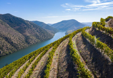 E se uma garrafa de vinho tivesse as cores vivas do rio Douro? Chama-se Tons de Duorum